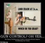 5947452011_gun_control_yes_vik_battaile_politics_1356255431_xlarge.jpg