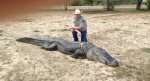 alligator_james_daughtrey_wma_3-.jpg