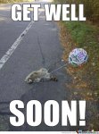 animal,cards,death,funny,getwellsoon,humor-51702d3ea1cedcd722f0db283f9e7ef7_h.jpg