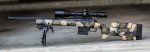 Alonzo Custom Rifles 223AI-2.jpg