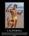 Stupid-California.jpg