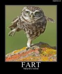 fart.jpg