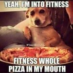 c910944bb4f1e41e880d7a9d188eb337--funny-diet-quotes-funny-fitness-memes.jpg