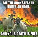 meme-cows-80oz.jpg