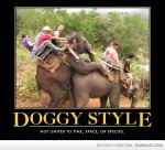 Doggy-style.jpg