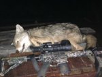 flatbed yote 10-11-13.jpg