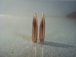 Nosler 001 (Small).JPG