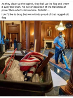 Capitol Flag.png