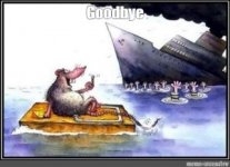 Rats_Sinking ship 1.jpg