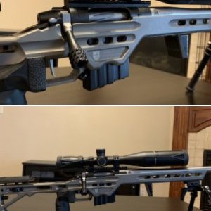 Bighorn rifle build